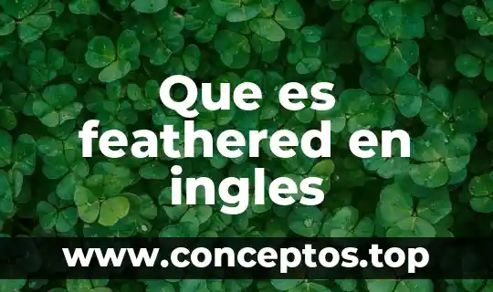 Que es feathered en ingles