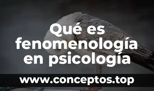 Qué es fenomenología en psicología