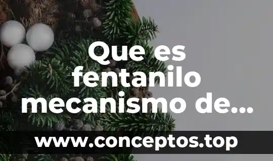 Que es fentanilo mecanismo de accion
