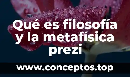 Qué es filosofía y la metafísica prezi