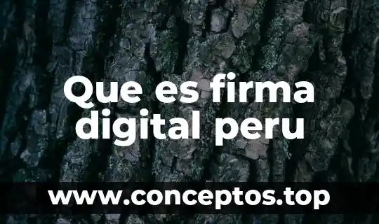 Que es el derecho municipal peru 3 Que es firma digital peru