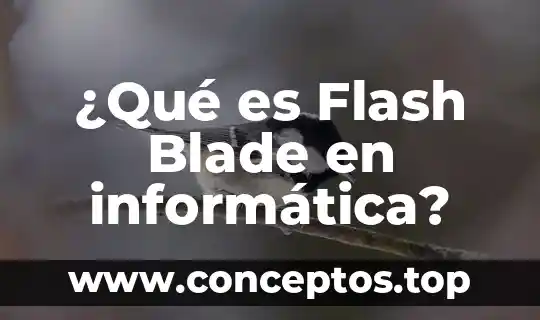 ¿Qué es Flash Blade en informática?