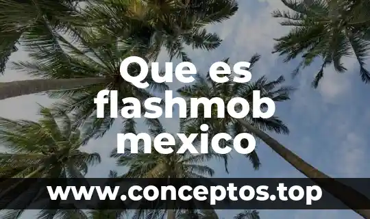 Que es flashmob mexico