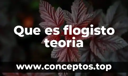 Qué es la teoría fordista 5 Que es flogisto teoria