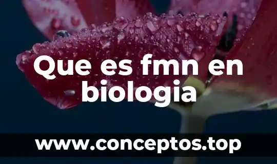 Que es compuesto en biologia 4 Que es fmn en biologia