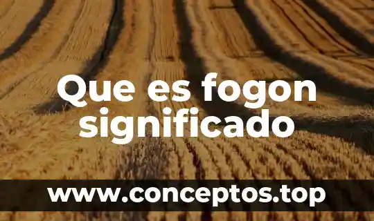 Significado de que es un gay padivo 4 Que es fogon significado