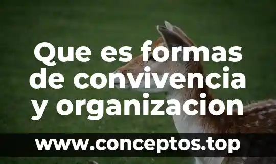 Que es formas de convivencia y organizacion