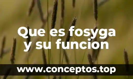 Que es una figura de autoridad y que funcion tiene 4 Que es fosyga y su funcion