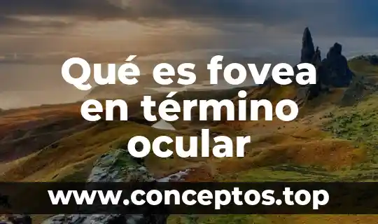 Qué es fovea en término ocular