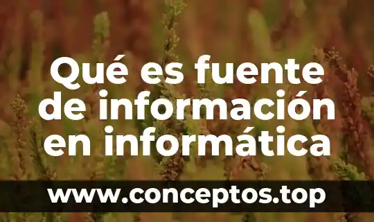 Qué es fuente de información en informática