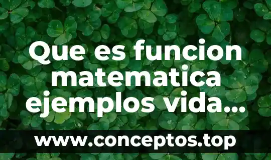 Que es funcion matematica ejemplos vida cotidiana