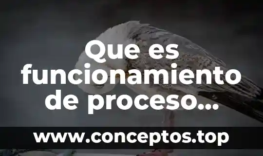Que es el proceso de direccion 3 Que es funcionamiento de proceso tecnologico y otros productos obtenidos