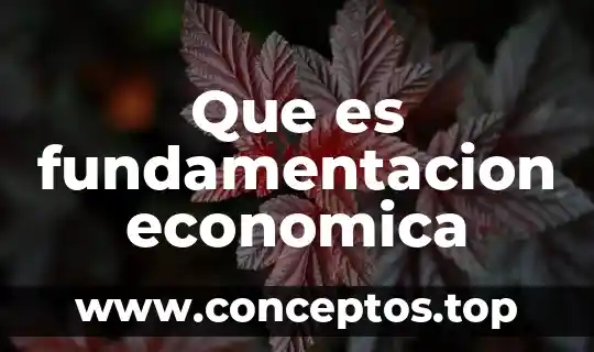 Que es fundamentacion economica