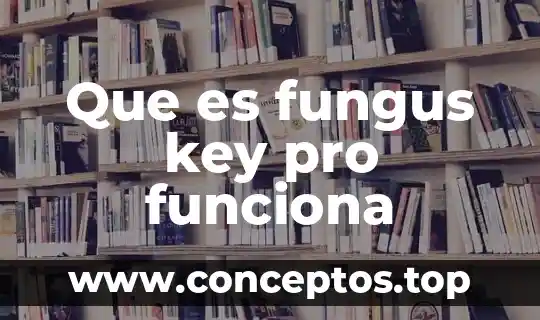 Que es fungus key pro funciona