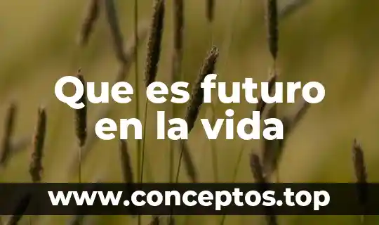 Que es futuro en la vida