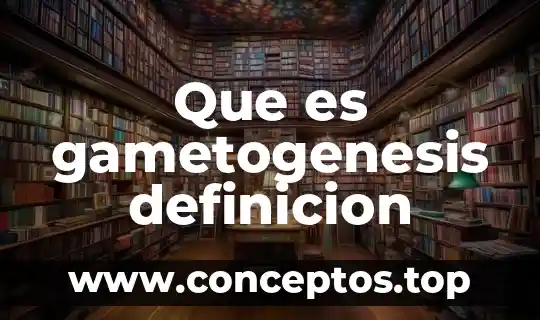 Que es gametogenesis definicion