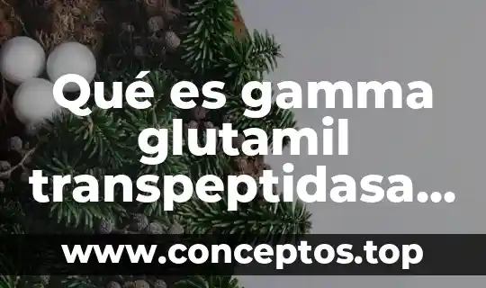 Qué es gamma glutamil transpeptidasa en análisis de sangre