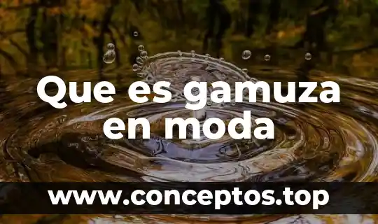 Que es gamuza en moda