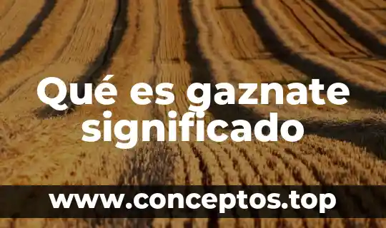 Que es el significado de impresora 4 Qué es gaznate significado