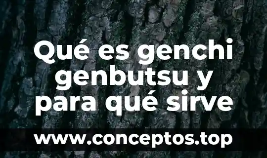 Qué es genchi genbutsu y para qué sirve