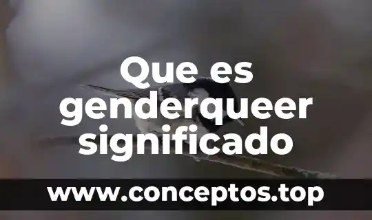Qué es confrontar significado 6 Que es genderqueer significado