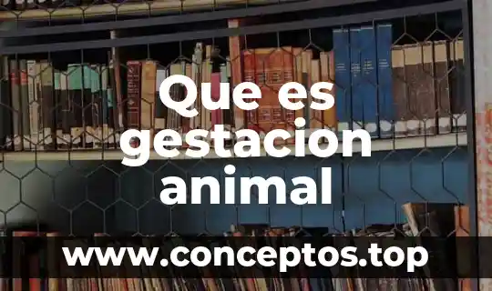 Que es gestacion animal