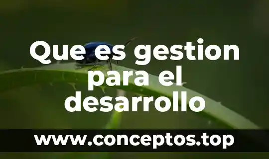 Que es gestion para el desarrollo