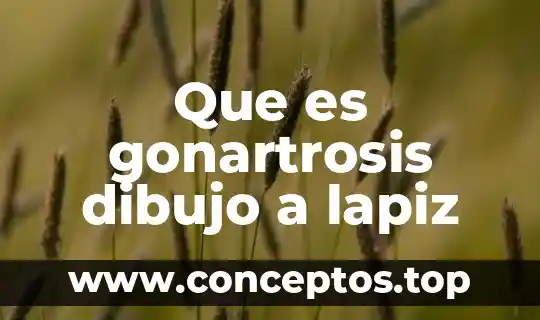 Que es gonartrosis dibujo a lapiz