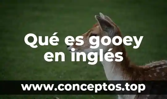 Qué es gooey en inglés