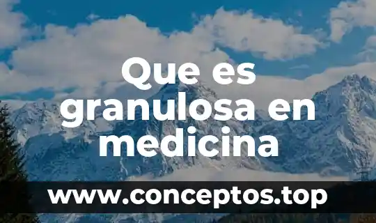 Que es granulosa en medicina