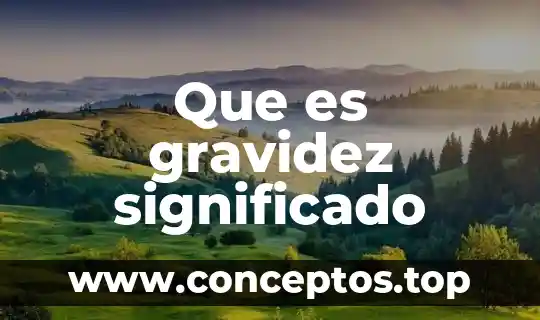 Argumentar significado que es 6 Que es gravidez significado
