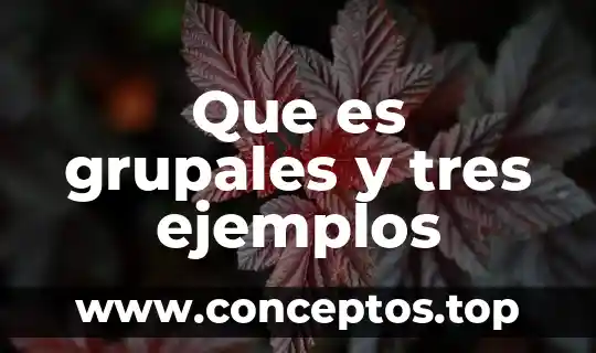 Que es grupales y tres ejemplos