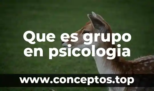 Que es grupo en psicologia