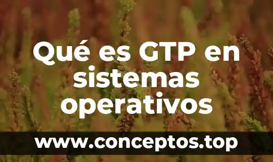 Qué es GTP en sistemas operativos