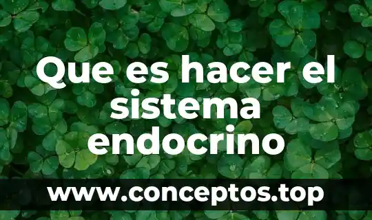 Que es hacer el sistema endocrino