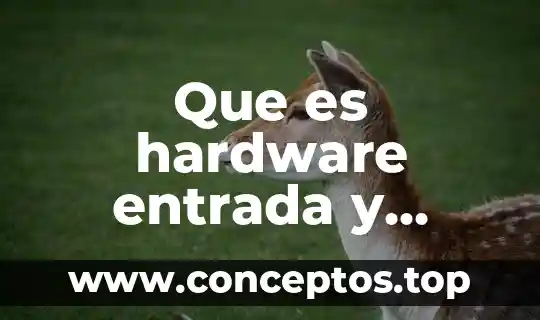 Que es hardware entrada y salida
