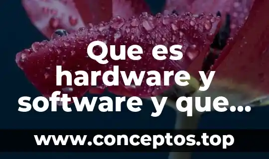 Que es una flor y sus partes que la componen 4 Que es hardware y software y que los componen