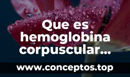Que es hemoglobina corpuscular media baja