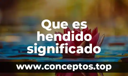 Qué es inmunitario significado 7 Que es hendido significado