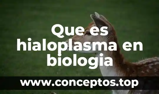 Que es un compuesto quimico en la biologia 8 Que es hialoplasma en biologia