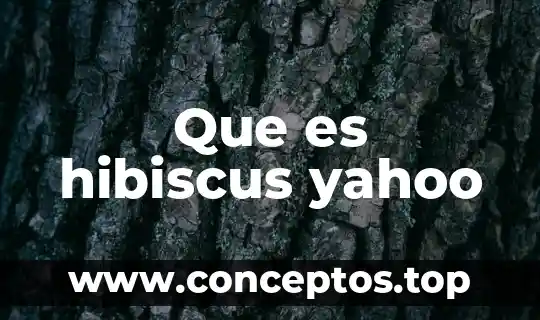 Que es hibiscus yahoo