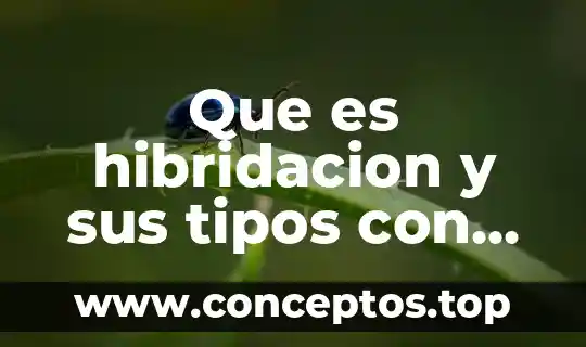 Que es hibridacion y sus tipos con caracteristicas del carbono