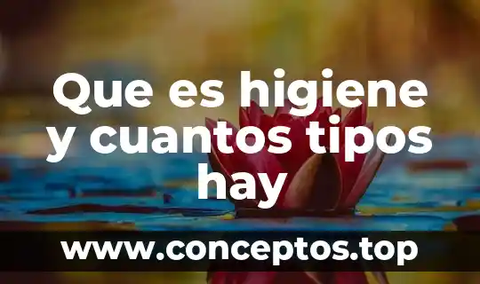 Que es eutanasia y tipos de eutanasia 4 Que es higiene y cuantos tipos hay