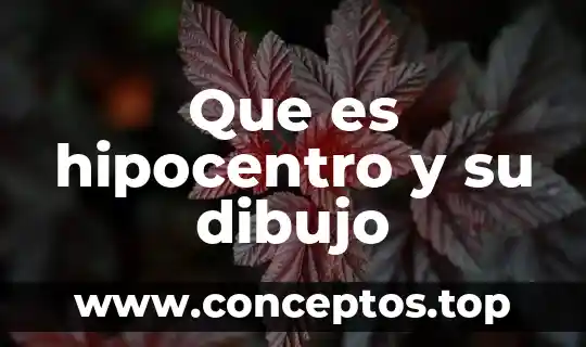 Que es hipocentro y su dibujo