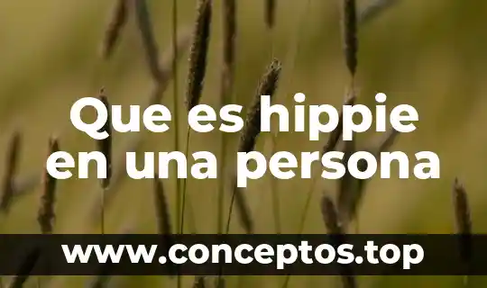 Que es hippie en una persona