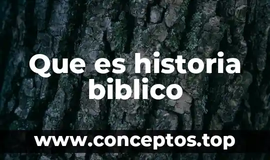 Significado que es un bosquejo bíblico 5 Que es historia biblico