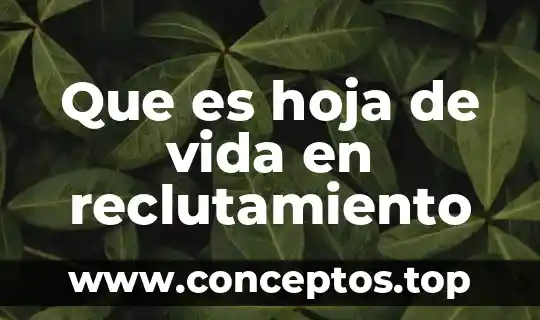 Que es hoja de vida en reclutamiento