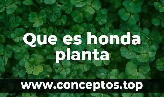 Que es honda planta