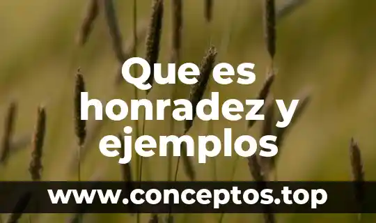 Que es honradez y ejemplos