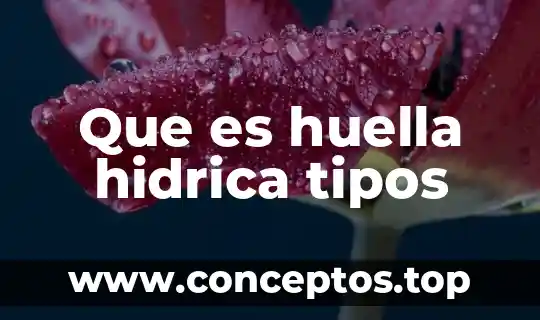 Que es huella ecologica articulos 6 Que es huella hidrica tipos